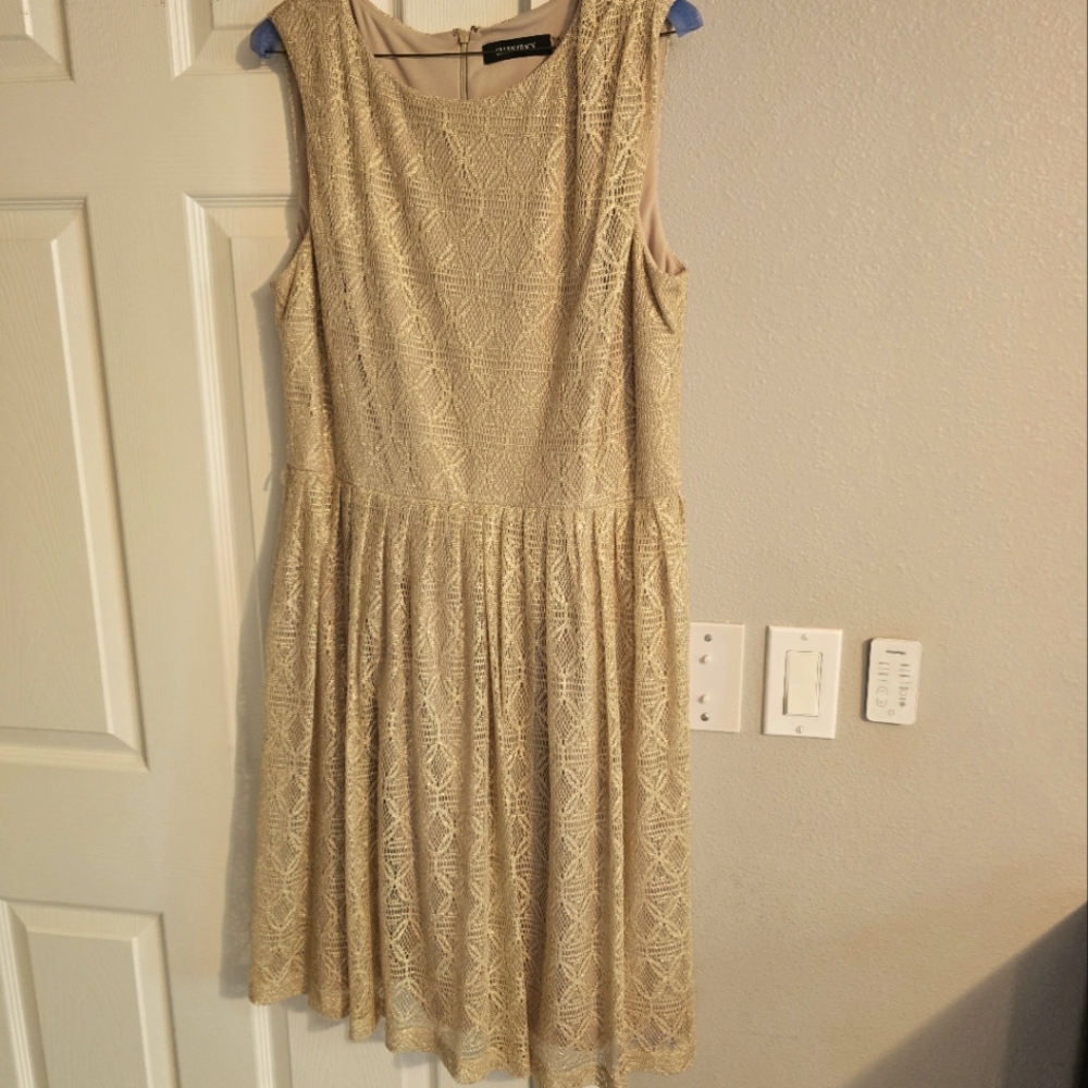 Ellen Tracy Dress